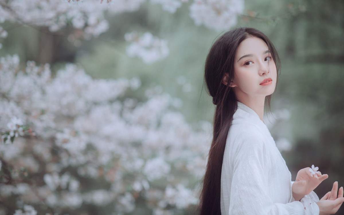 安宁会哪些门店已恢复营业？最新开放信息揭晓